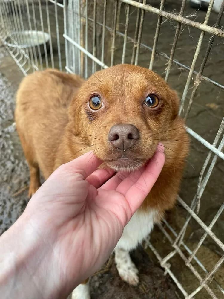 ❤️Violetta❤️ photo 6