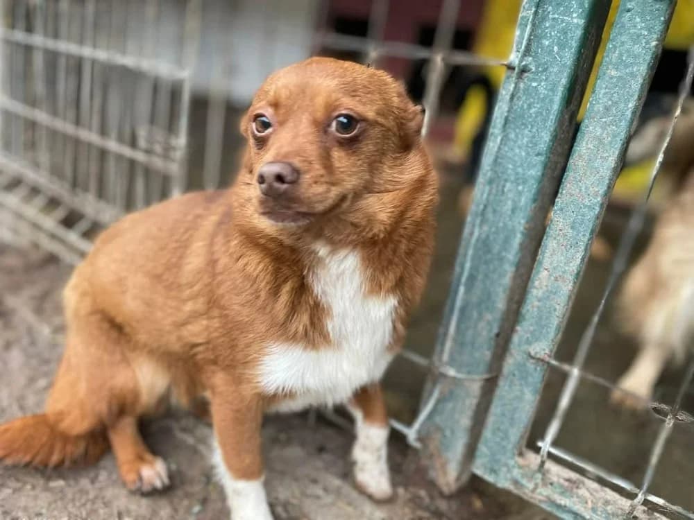 ❤️Violetta❤️ photo 7