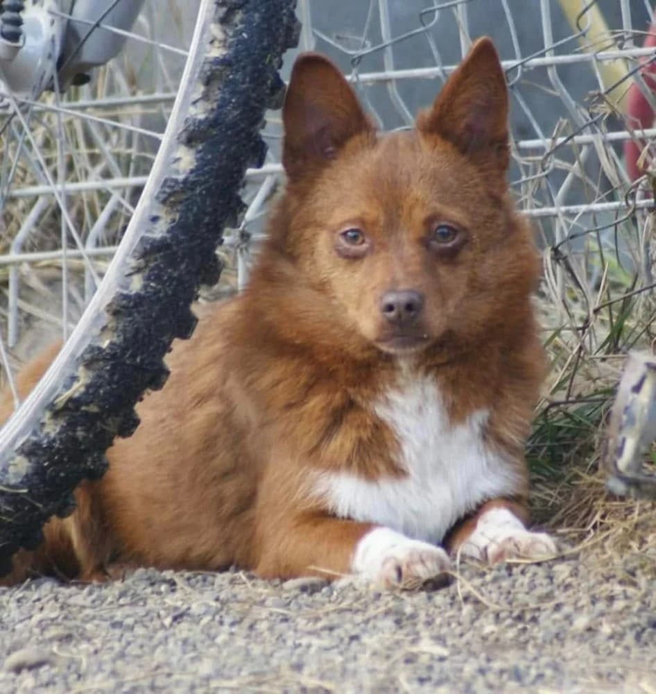 ❤️Violetta❤️ photo 8