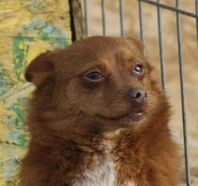 ❤️Violetta❤️