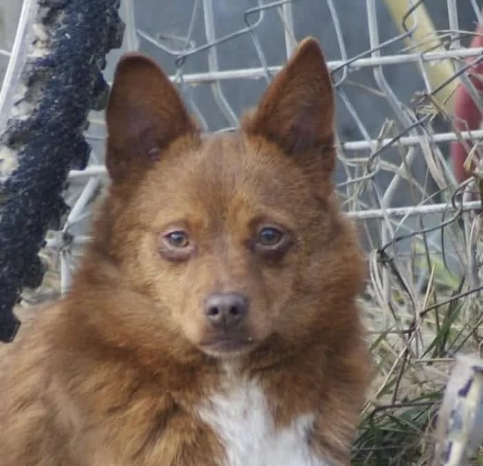 ❤️Violetta❤️ photo 2