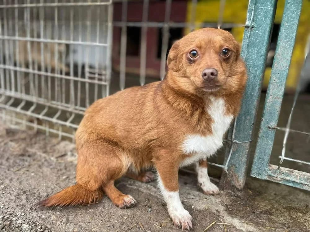 ❤️Violetta❤️ photo 3