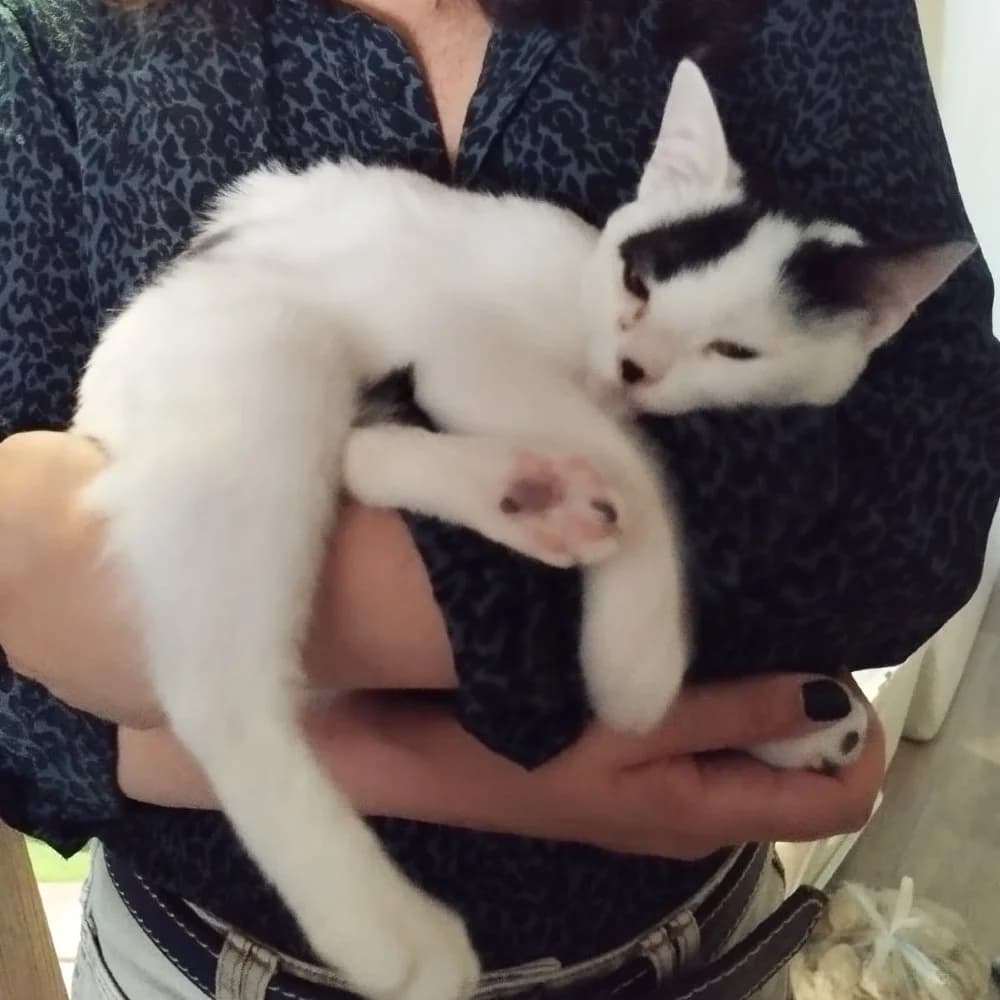 Whisker & Jill photo 8