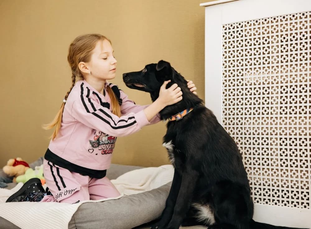 Yasna zoekt forever home photo 8