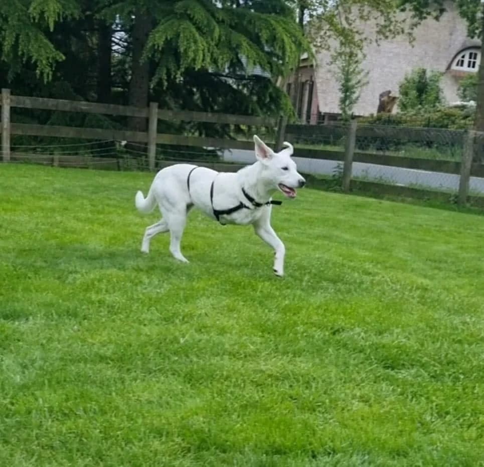 ❤️Yuki❤️ photo 5