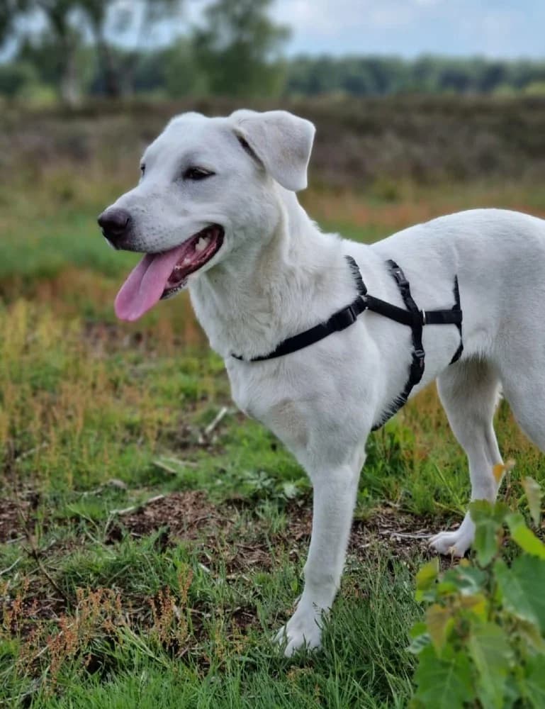 ❤️Yuki❤️ photo 6