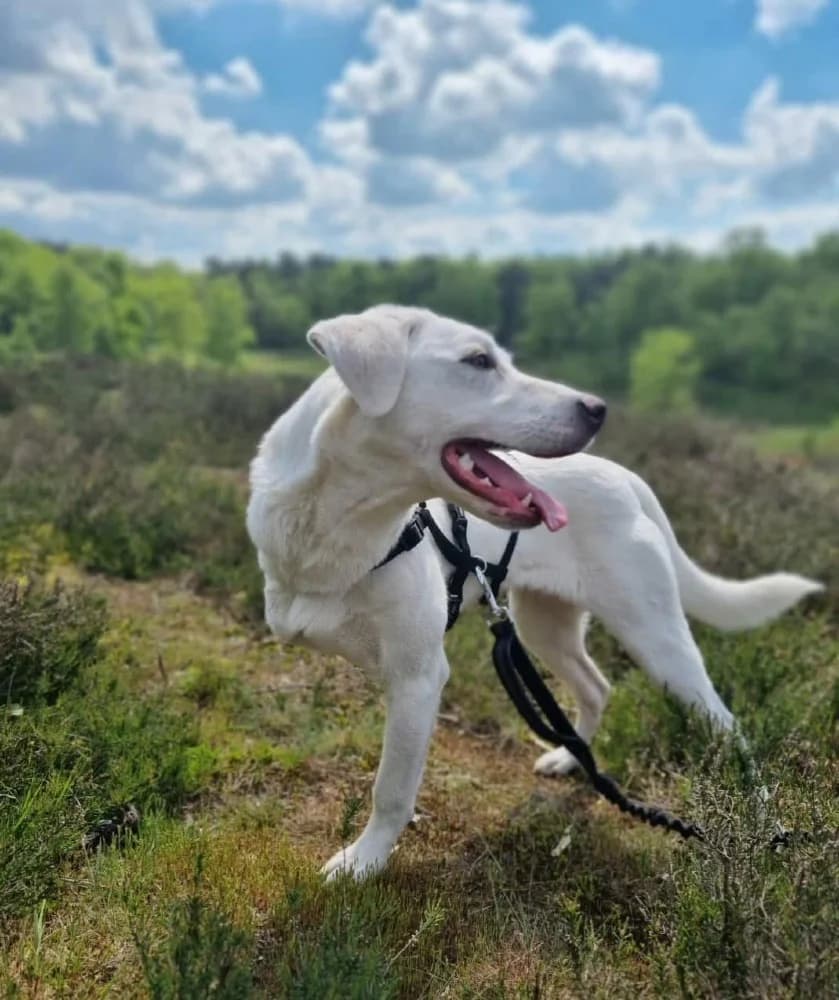 ❤️Yuki❤️ photo 7