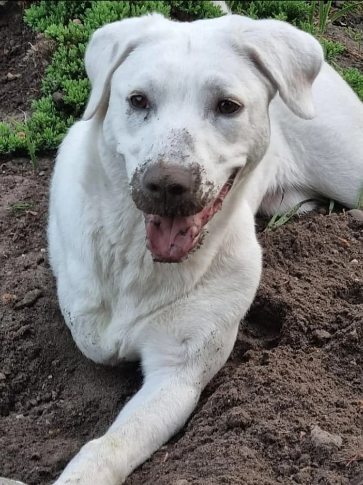 ❤️Yuki❤️ photo 8