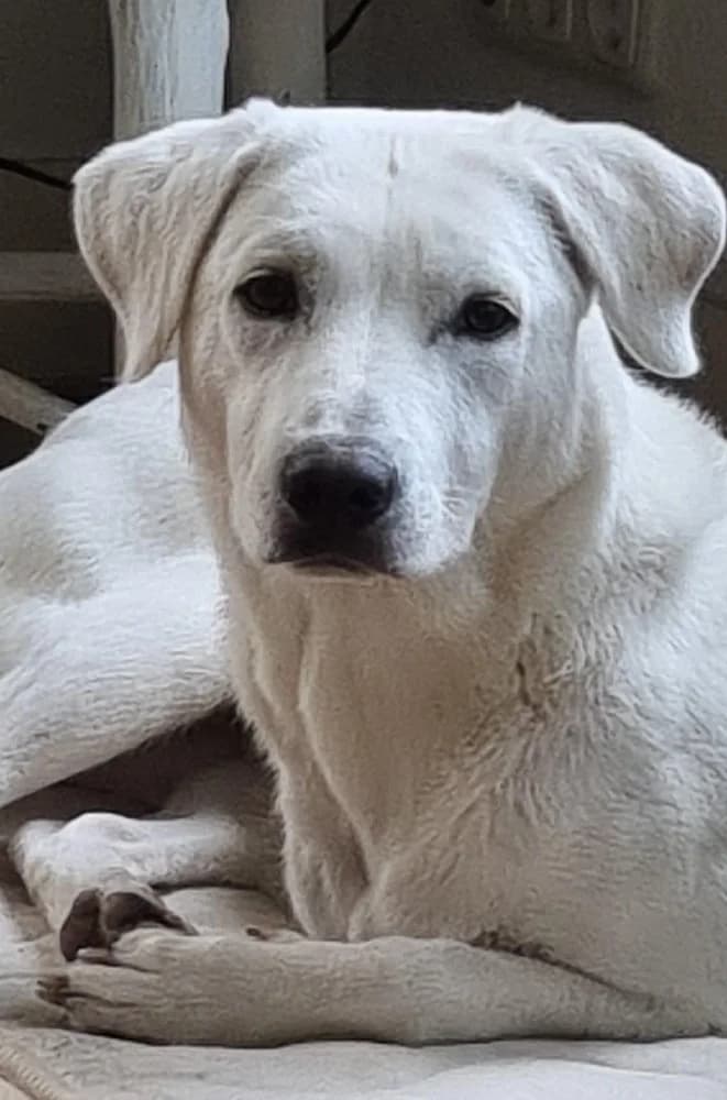 ❤️Yuki❤️ photo 2