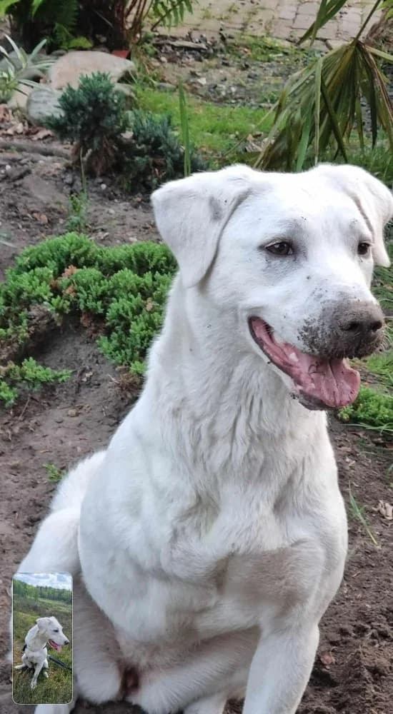 ❤️Yuki❤️ photo 3