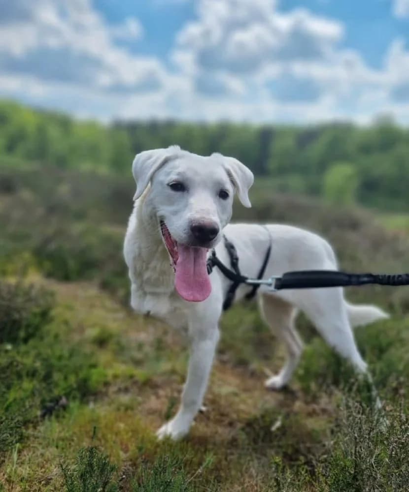 ❤️Yuki❤️ photo 4