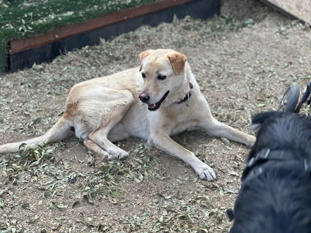 Yuna BR, handicap, senior photo 4