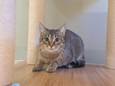 Tierheim Leipzig photo 2