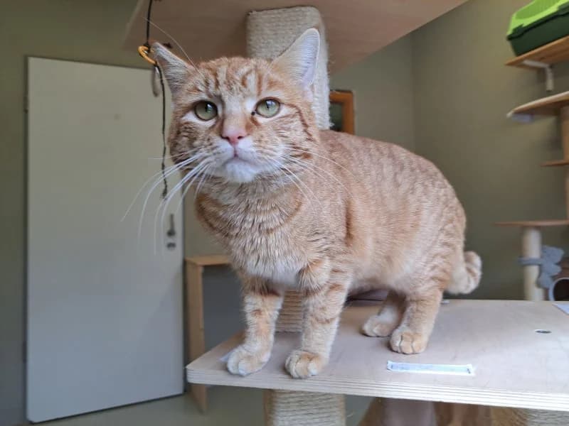 Tierheim Leipzig photo 2