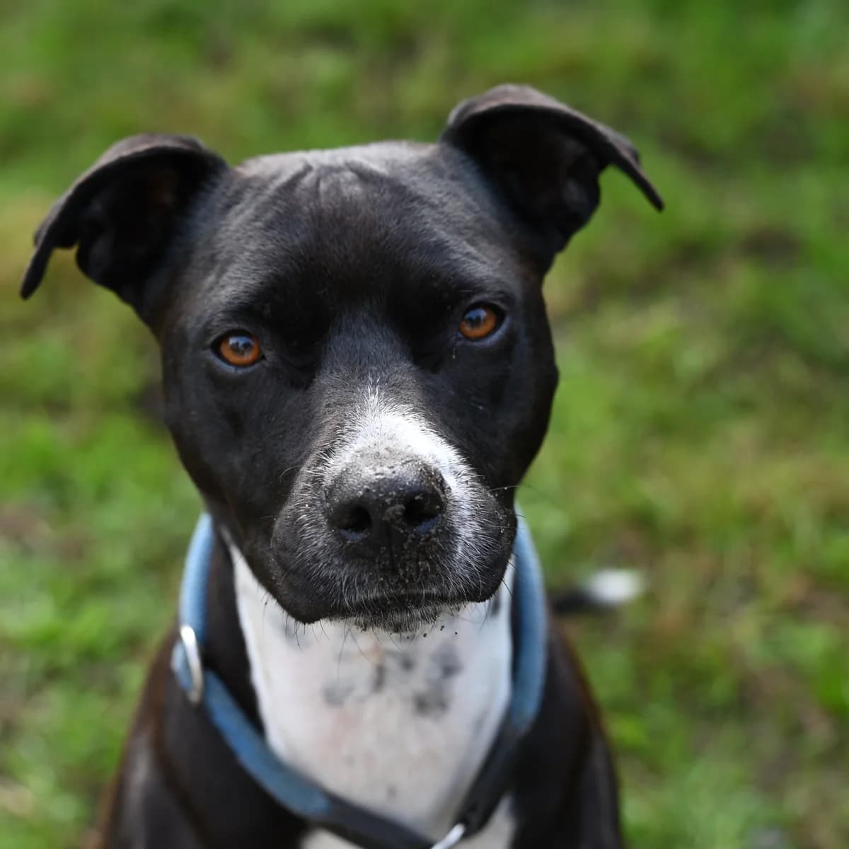 Emily Erdbeere photo 7