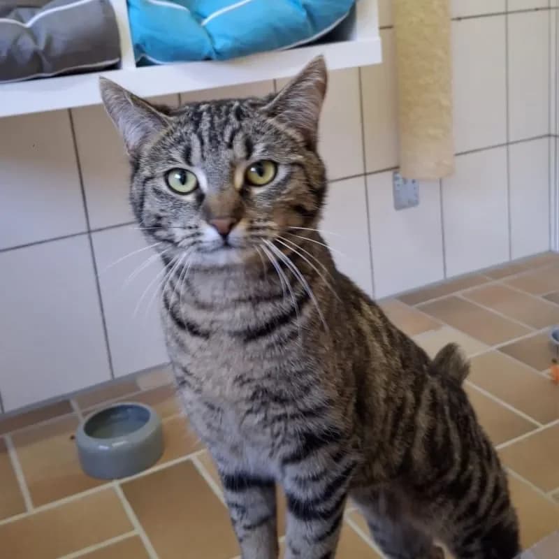 Lydia (reserviert) photo 4