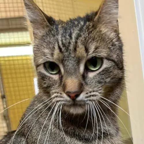 Mimi und Mia (reserviert)