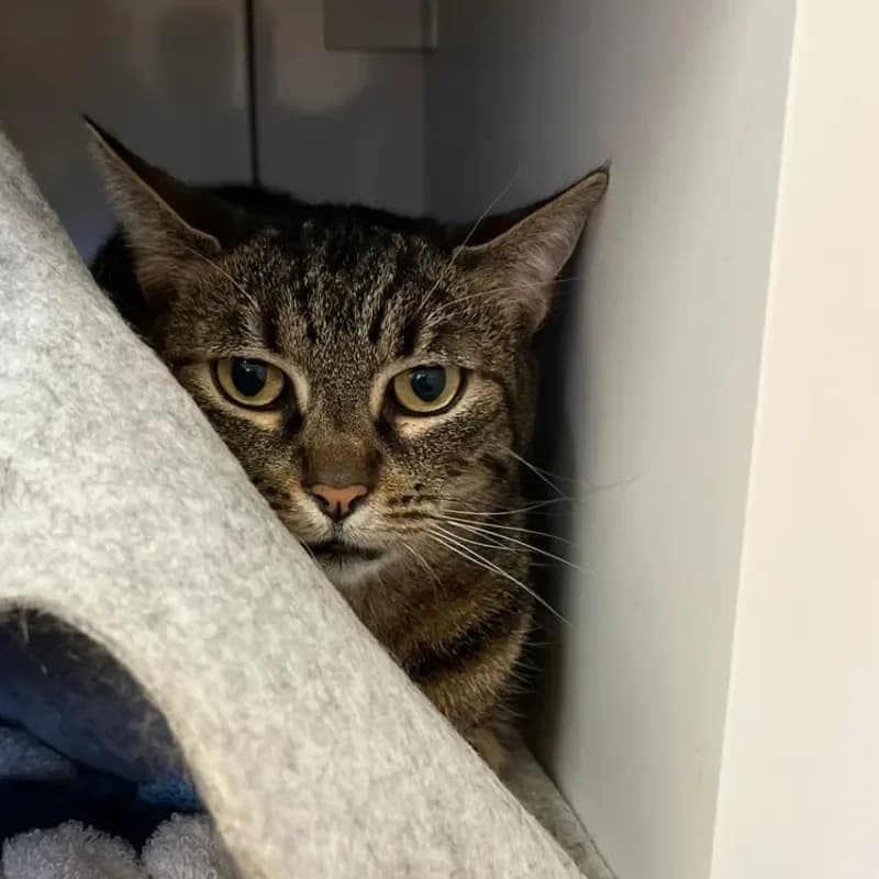 Mimi und Mia (reserviert) photo 3