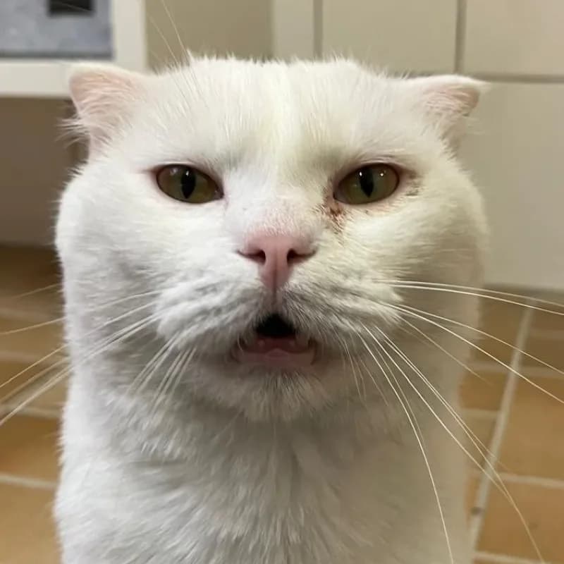 Nyra und Rajak photo 2