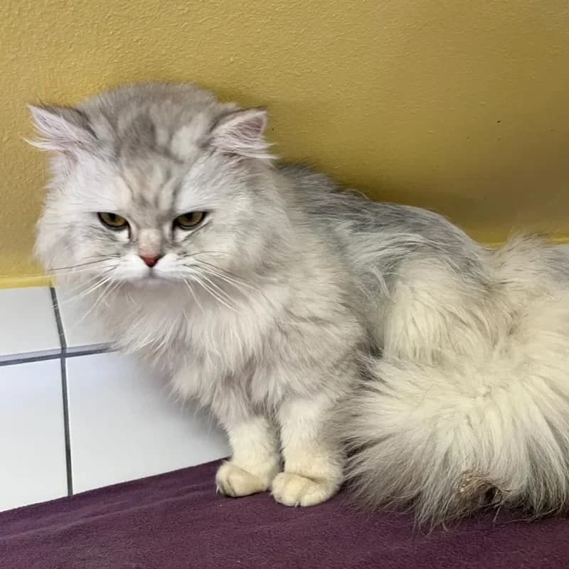 Sophie (in Behandlung) photo 5