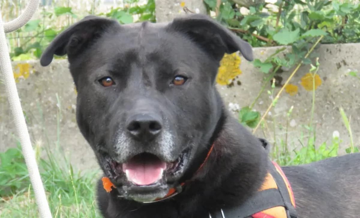 SHINRIN (réservé) photo 4