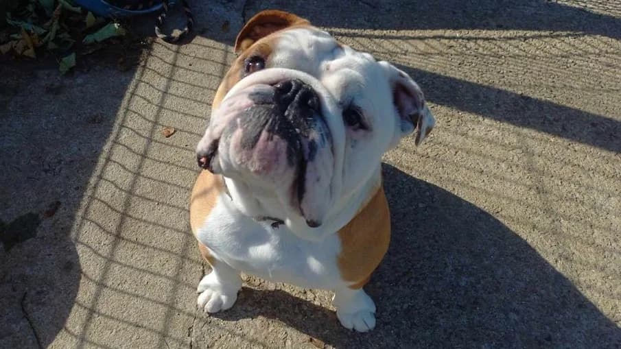 MUC'H QCN (réservé)