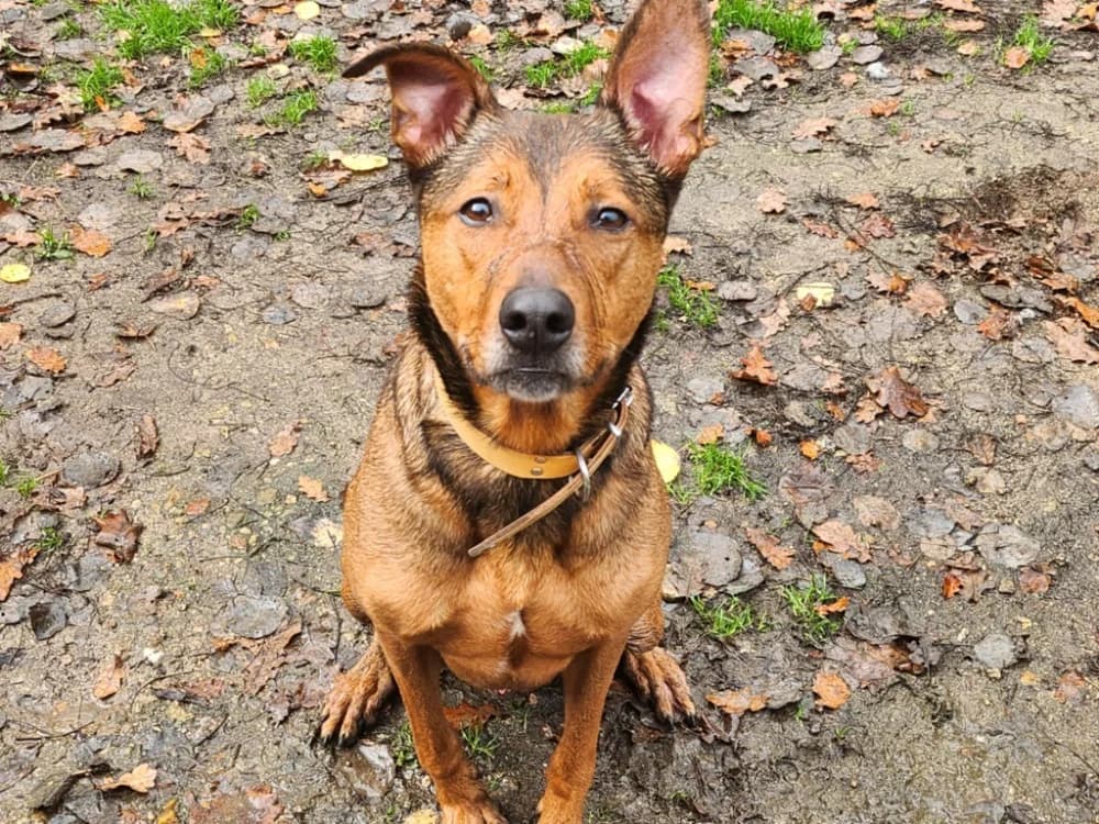 PRINCE QCN (J'ai trouvé ma famille)