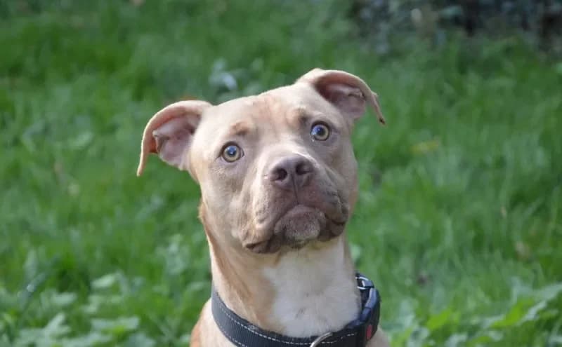 XATIDOU CHAO photo 2