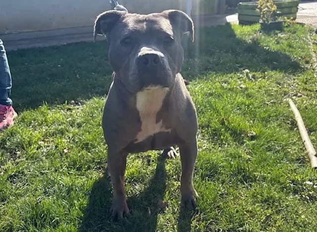 RITA PAA24136 photo 2