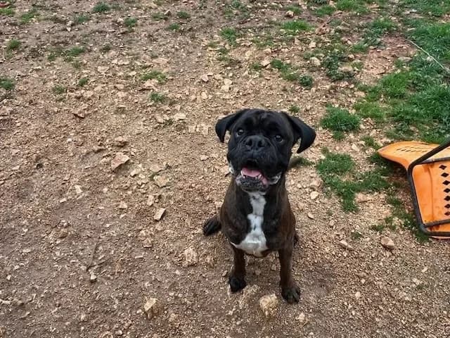 TITUS (réservé) photo 2