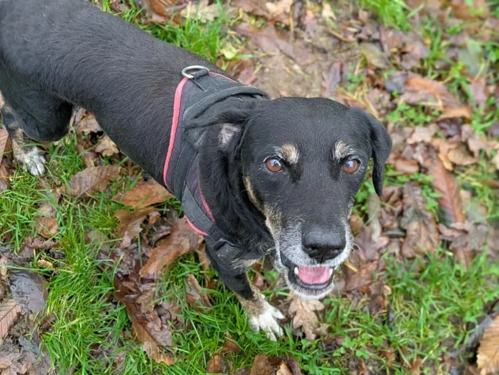 JEAN-LOUIS QCN photo 2