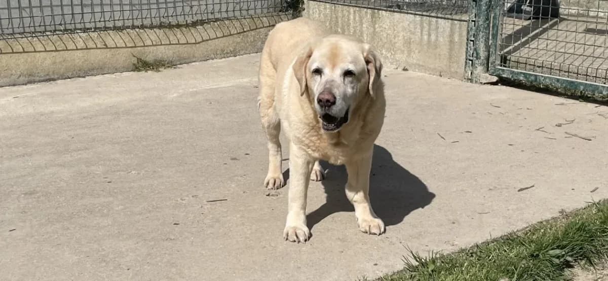 BAYLA Promise photo 2