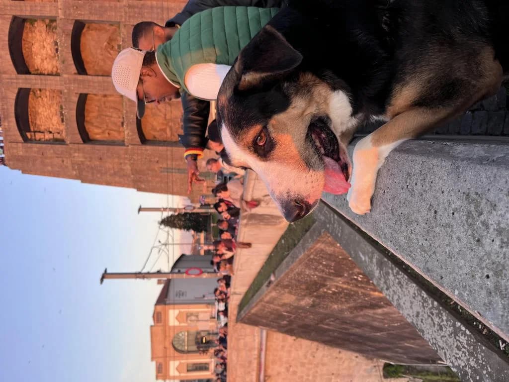 PETIFYC10325 photo 2