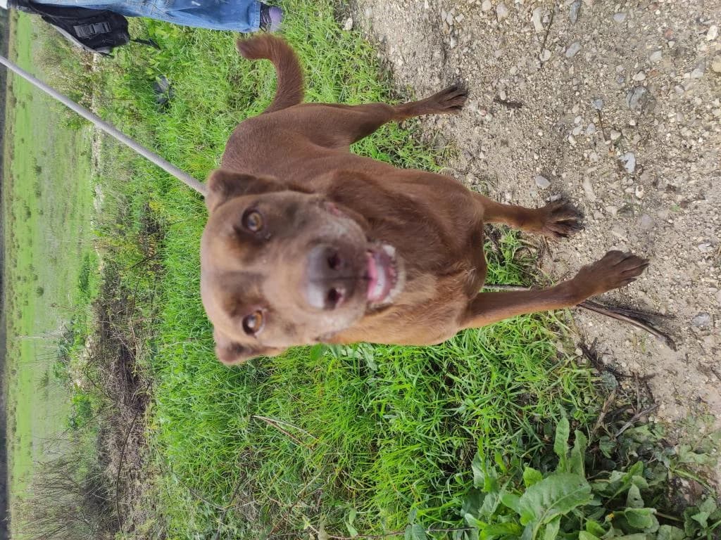 PETIFYC10328 photo 5