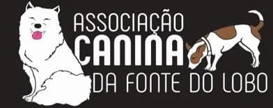 PETIFYC10335 photo 6