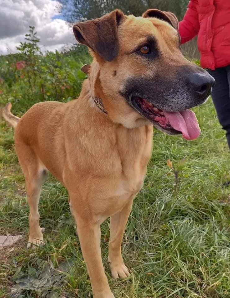 PETIFYC10352 photo 8