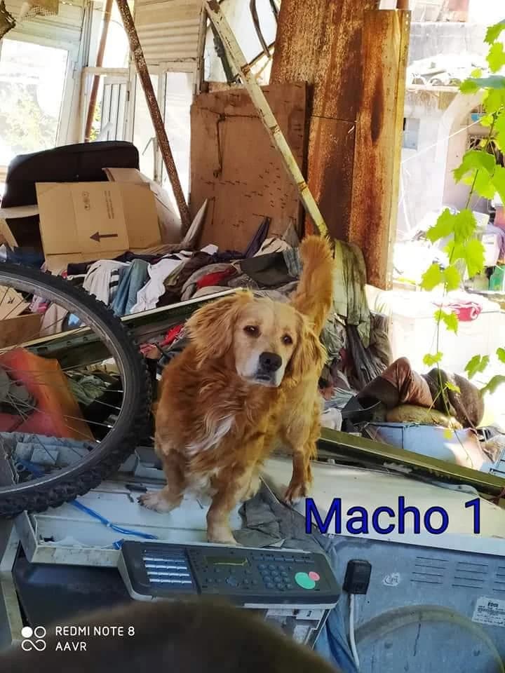 PETIFYC10427 photo 4