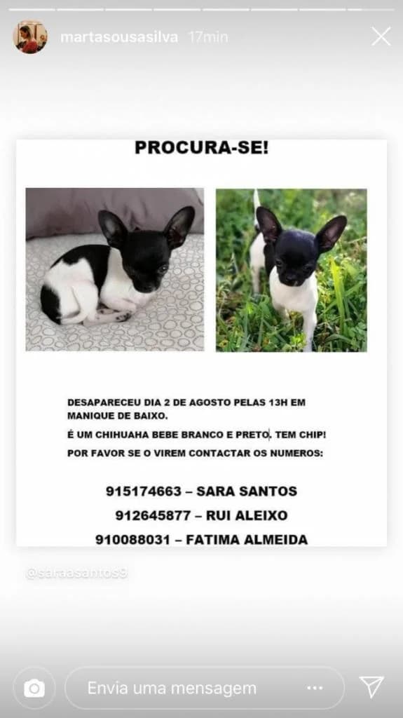 PETIFYC10447 photo 8