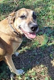 PETIFYC10472 photo 2