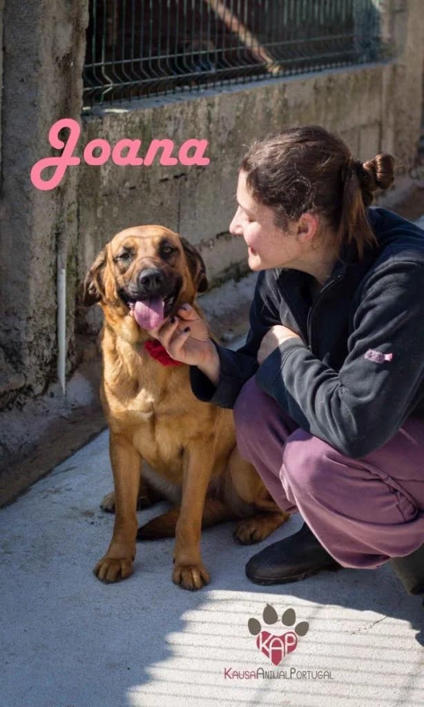 PETIFYC10495 photo 6