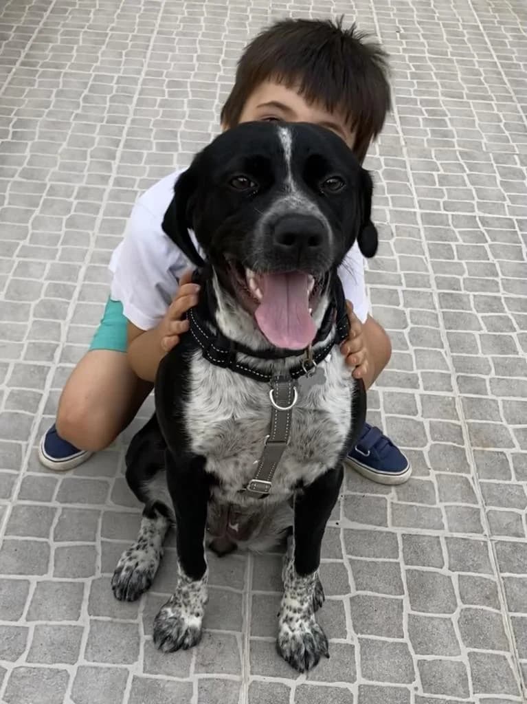 PETIFYC10512 photo 6