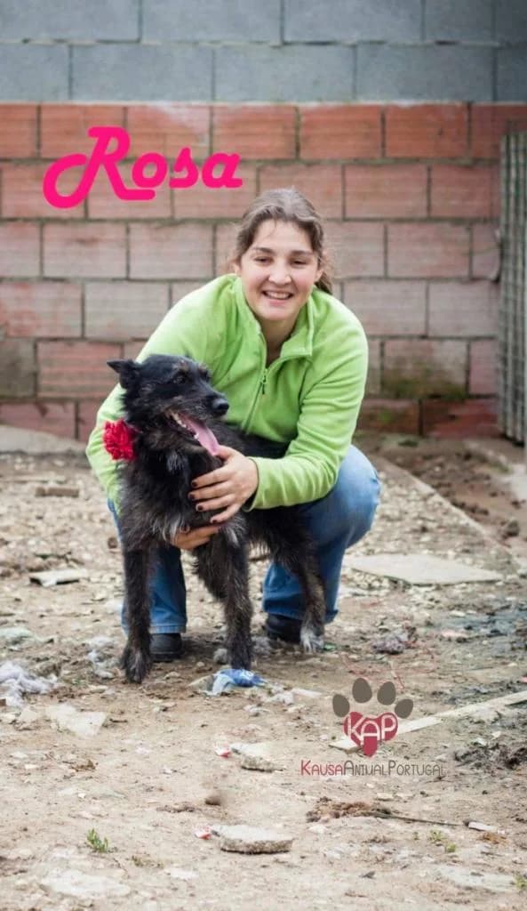 PETIFYC10534 photo 4