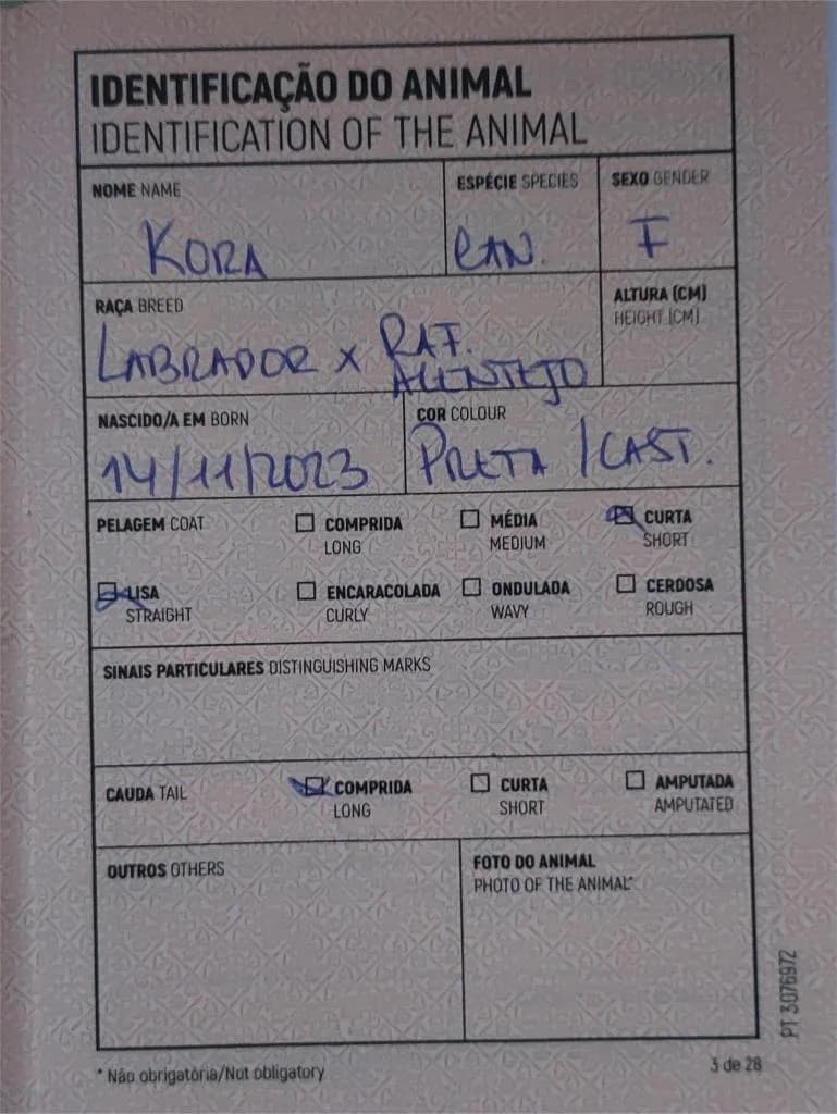 PETIFYC10544 photo 6