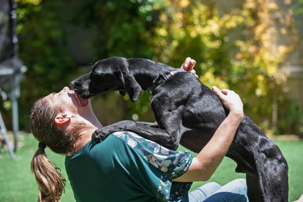 PETIFYC10546 photo 4