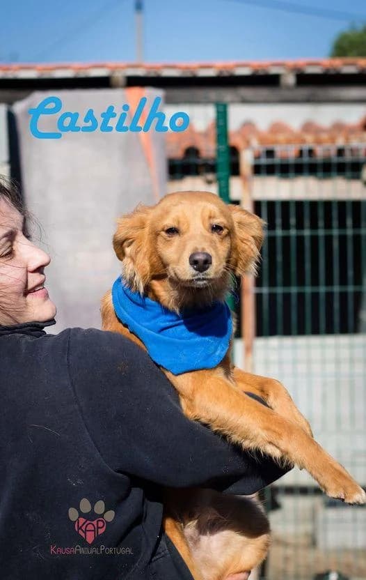 PETIFYC10605 photo 6