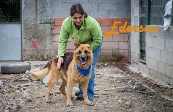 PETIFYC10662 photo 2