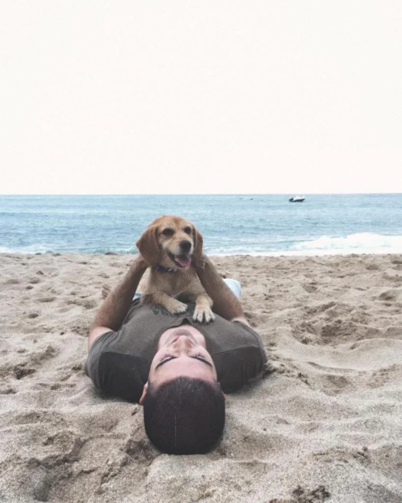 PETIFYC10746 photo 7