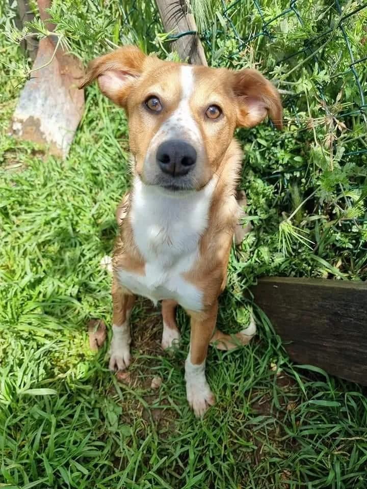 PETIFYC10749 photo 5