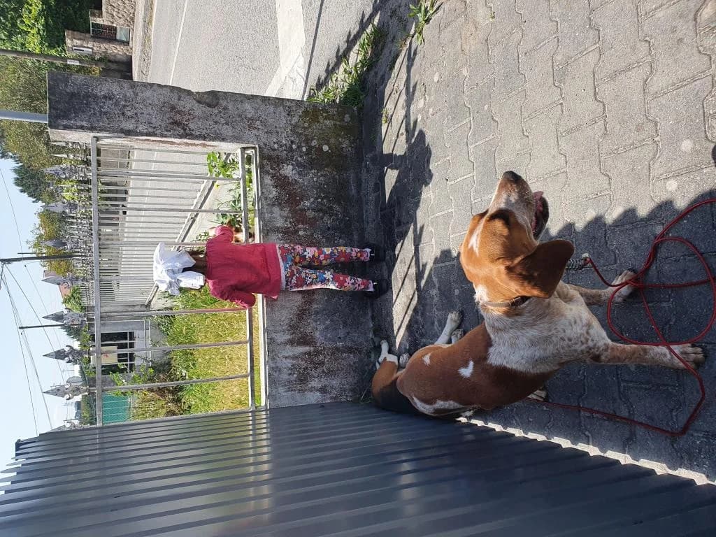 PETIFYC10810 photo 7