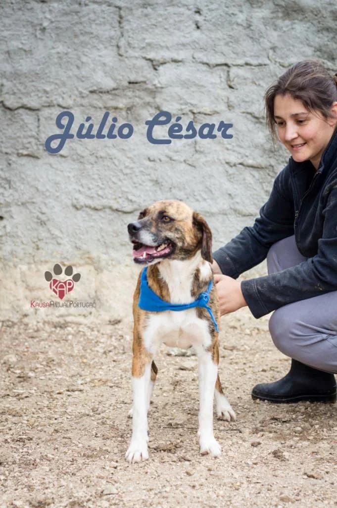 PETIFYC10847 photo 5